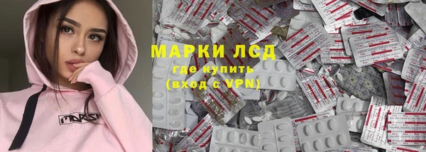 дживик Богородск
